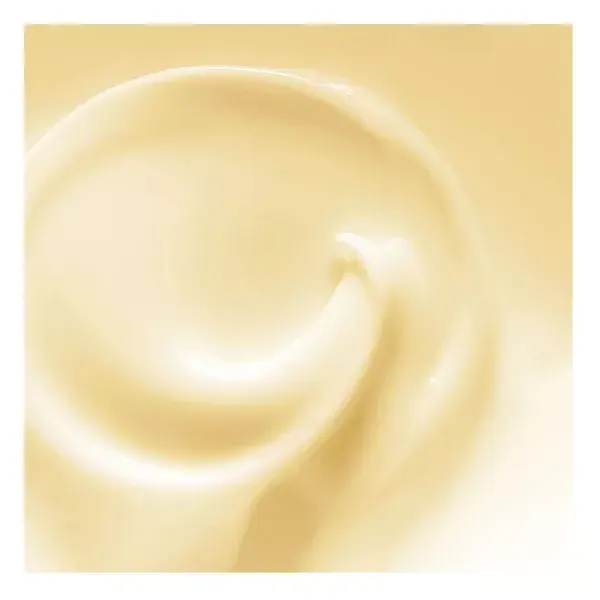 Máscara Reparadora com Óleo de Argan Revlon Professional Orofluido™ 250 ml
