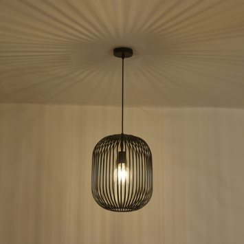 KARWEI hanglamp Charly zwart ø30x38cm