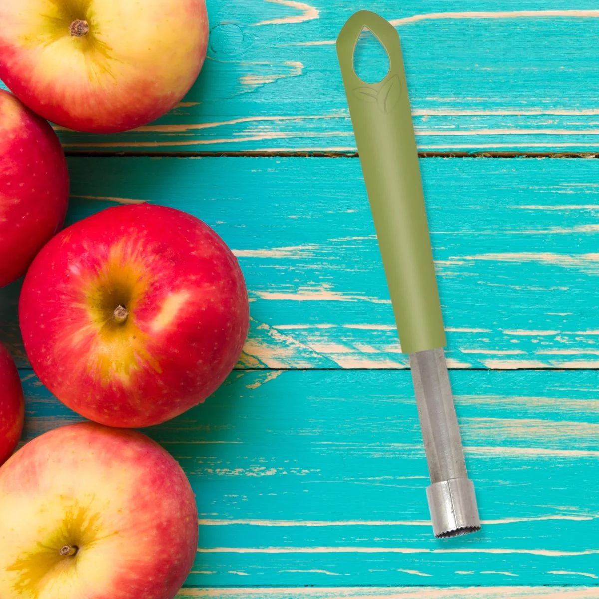 Vide pomme plastique biosourcé Gamme Zéro Fackelmann