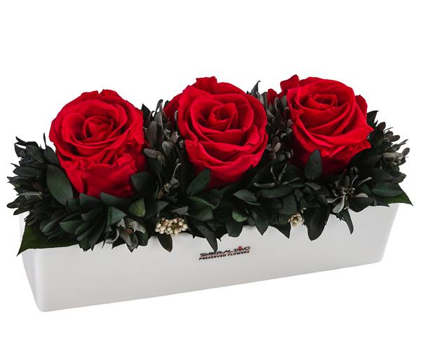 Dehner Keramik-Jardiniere mit Longlife-Rose