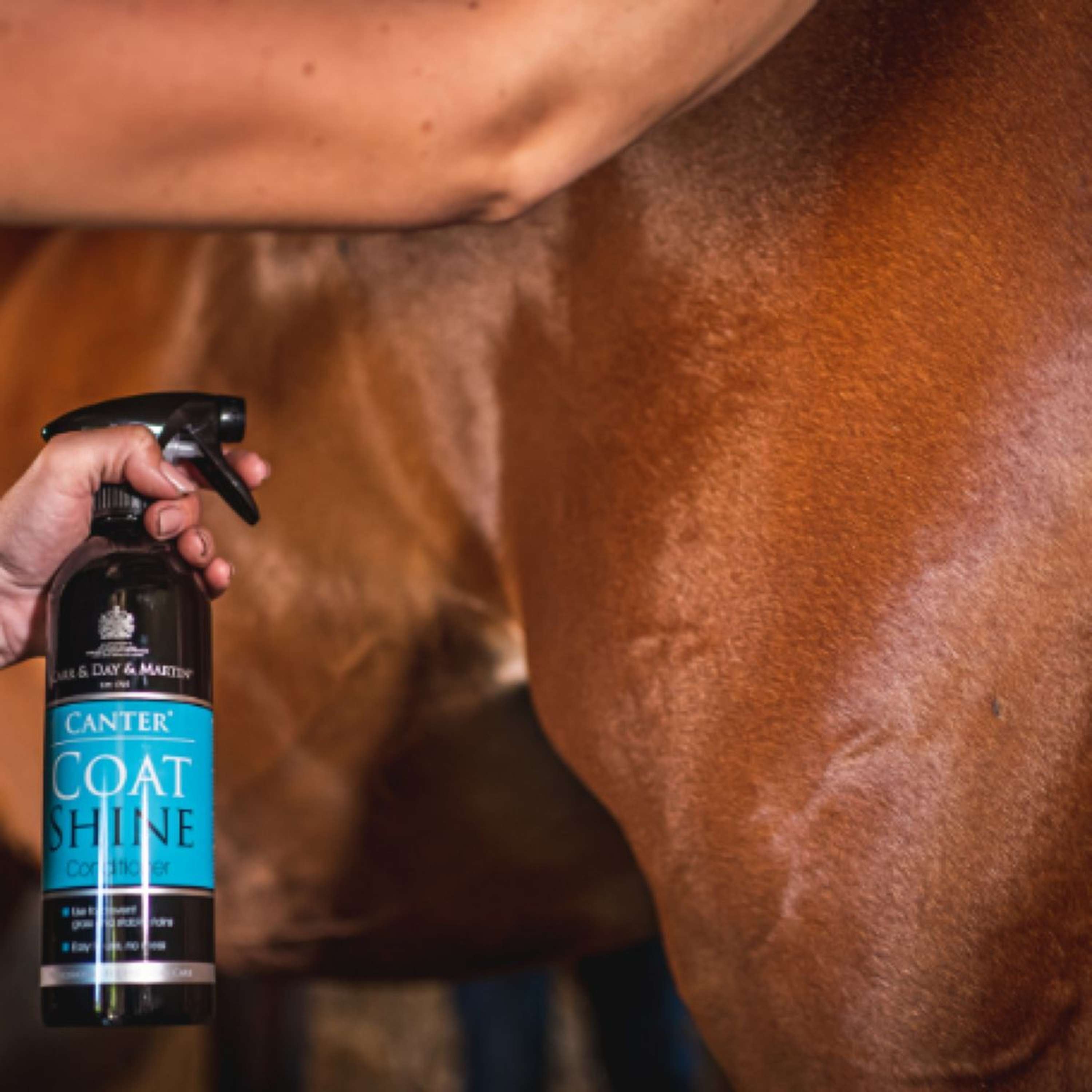 Carr & Day & Martin Glansspray Canter Coat Shine Equimist