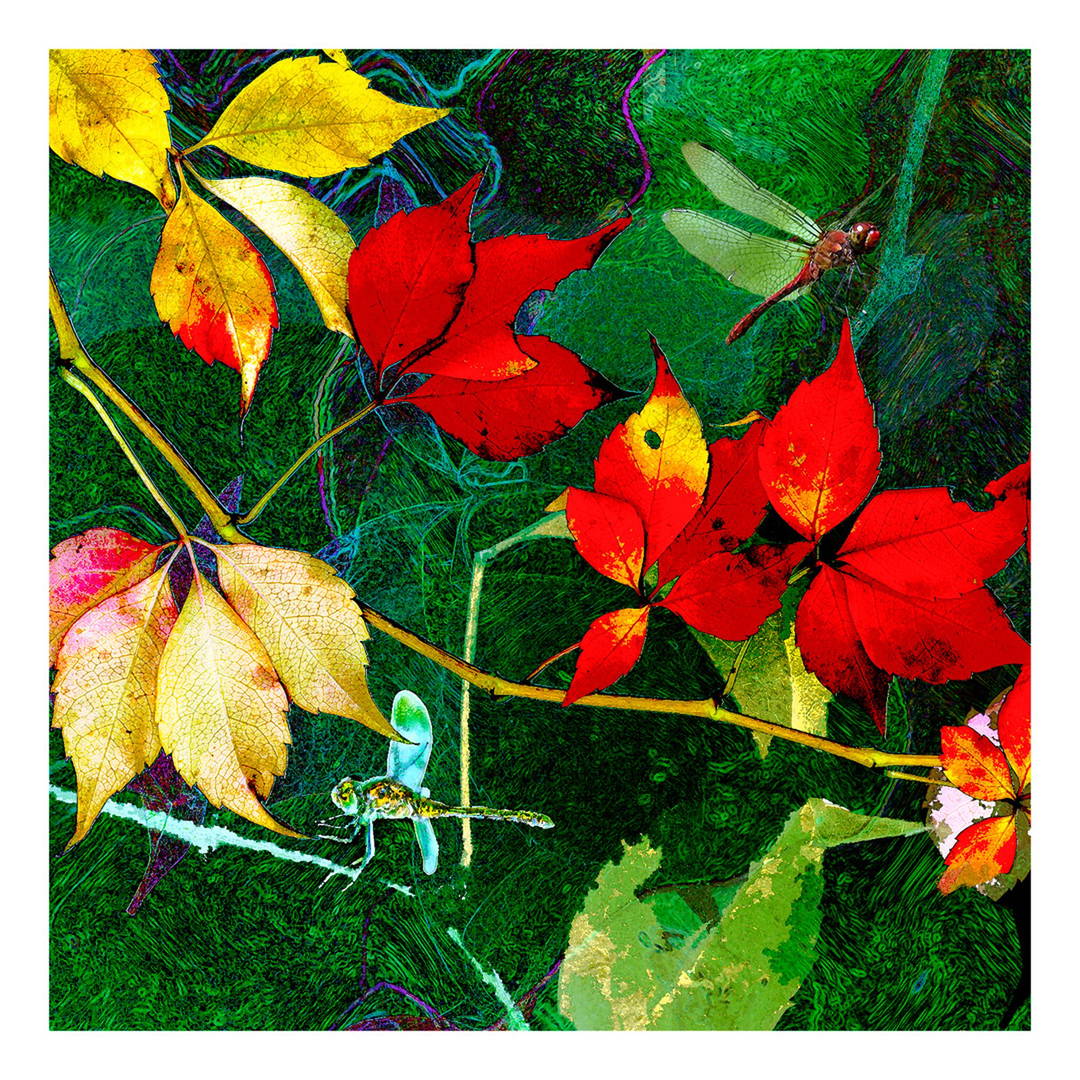 Florales m. Libelle by Heidrun Göres - Limited Edition. Edition of: 150. Signed.
