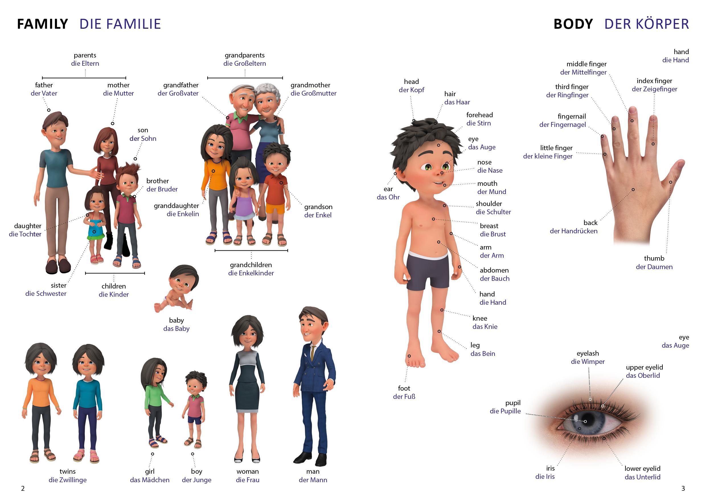 Bildwörterbuch für Kinder und Eltern Englisch-Deutsch
