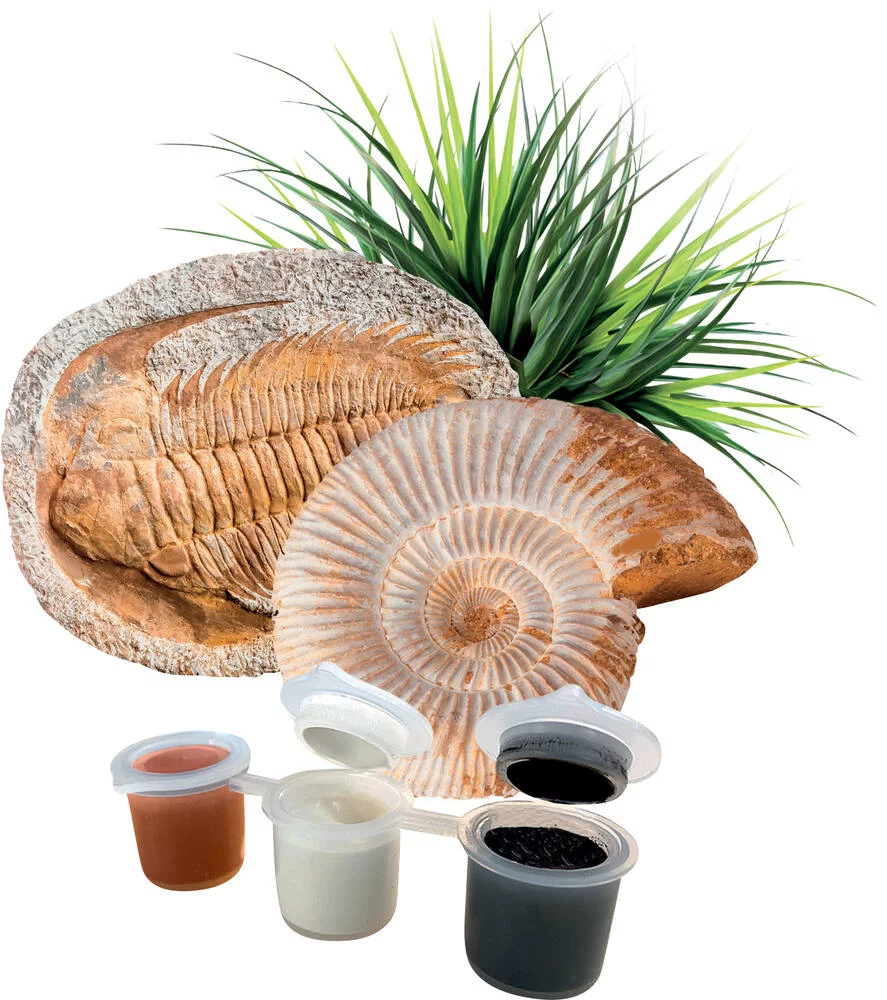 SCIENCE & JEU - TRIOPS ET LE MONDE DES DINOSAURES