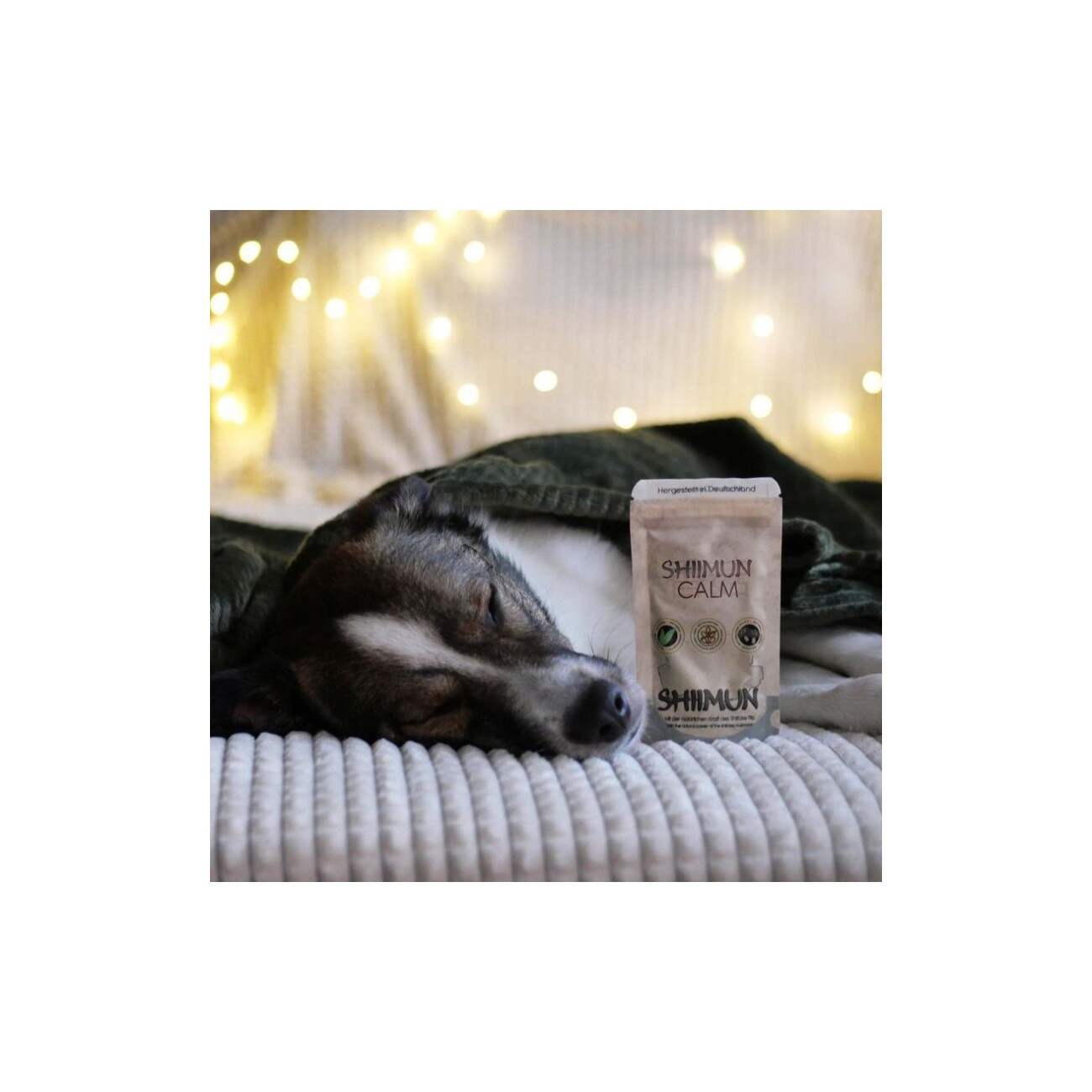 Marsapet Shiimun Calm Pulver für Hunde und Katzen mit Shiitake - 50g