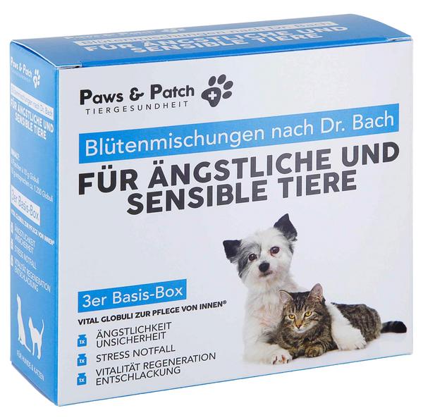 PAWS & PATCH Blütenmischung 3er Basis-Box