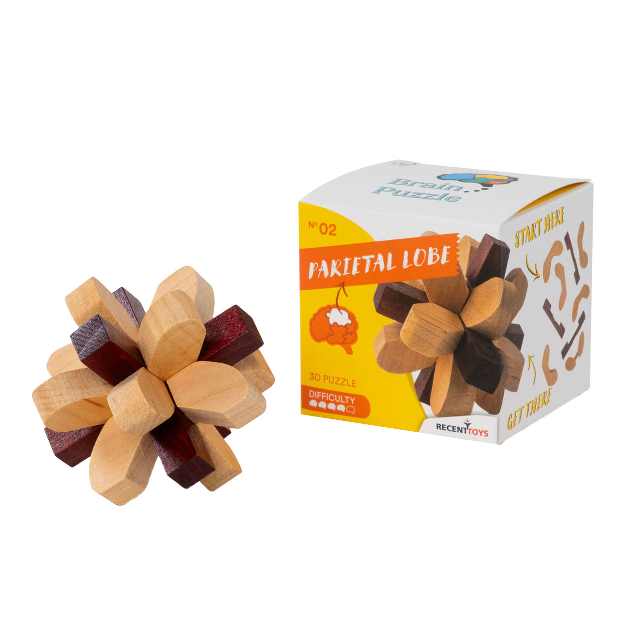 Breinpuzzel NO2: Parietale Kwab - Breinbreker