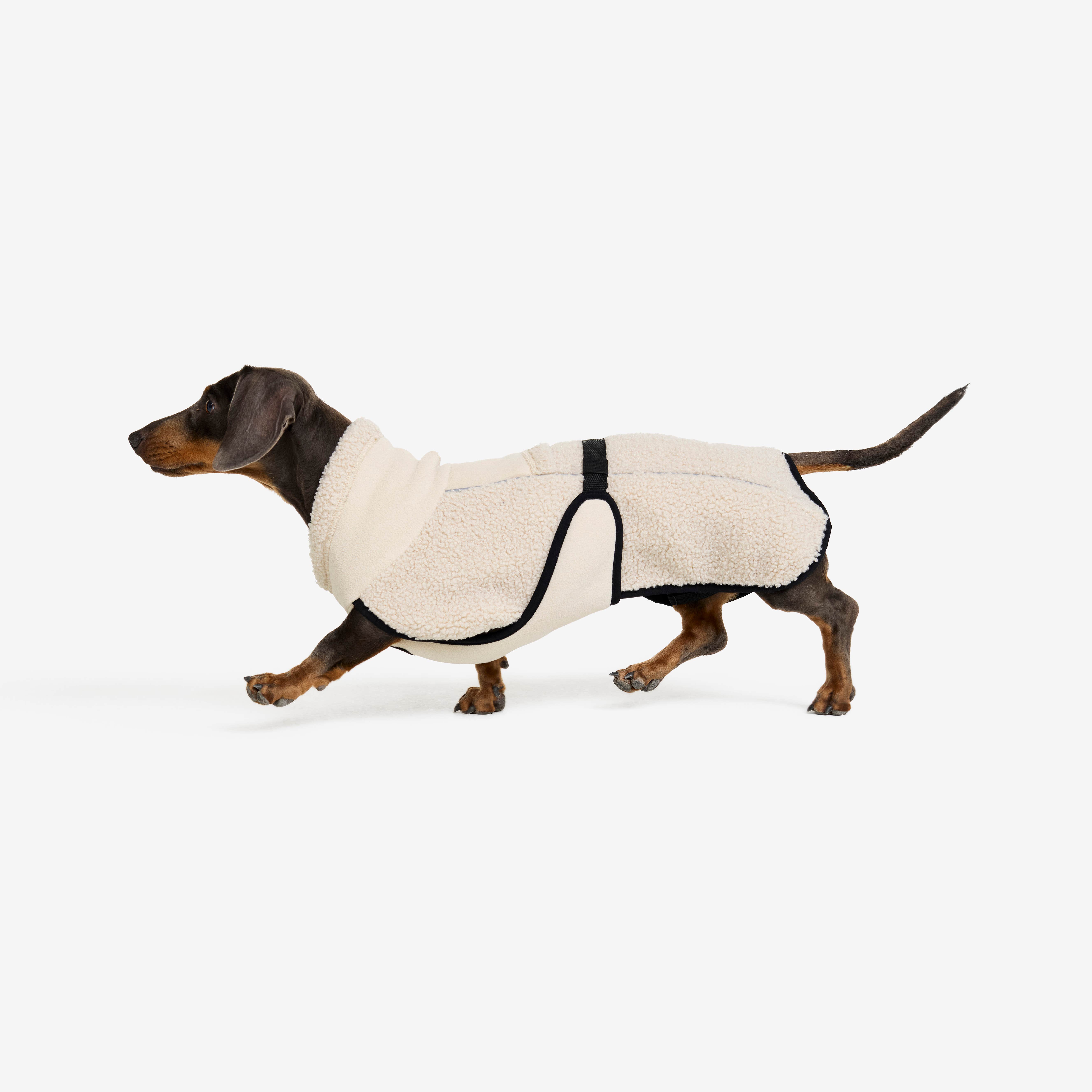 Bigfoot Dog Jacket Hund Peyote