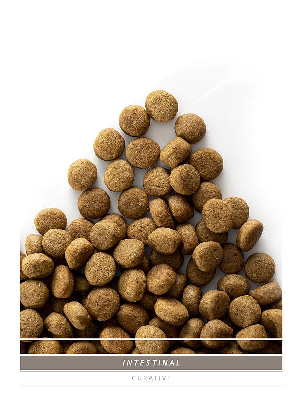 Sanimed Intestinal Hond 3 kg