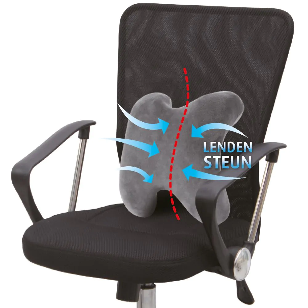 Ergonomisch Rugkussen