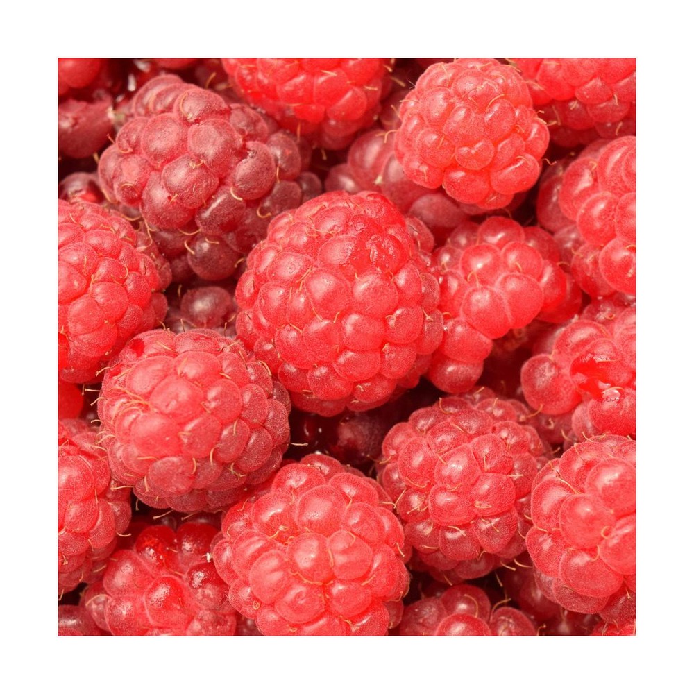 Framboisier idaeus scepter/rubus idaeus scepter[-]pot de 3 l - 40/50 cm