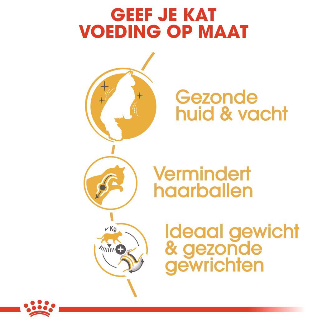 Royal Canin Noorse Boskat Adult - Kattenvoer - 2 Kilogram - Gevogelte