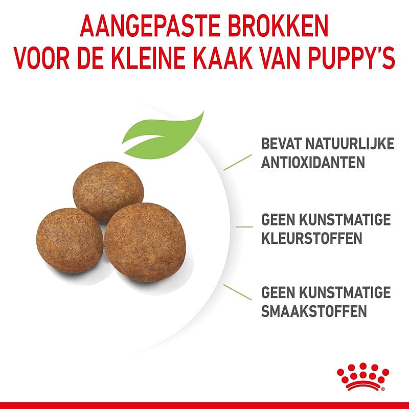 ROYAL CANIN® Large Dog Junior 25-45Kg - Hondenvoer voor de spijsvertering en gewrichten van pups van grote honden