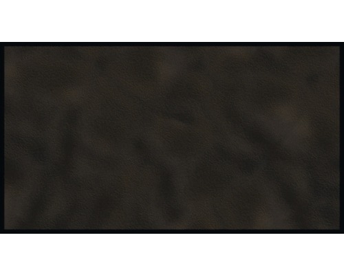Vuilvangende loper Shades zwart 67x120 cm