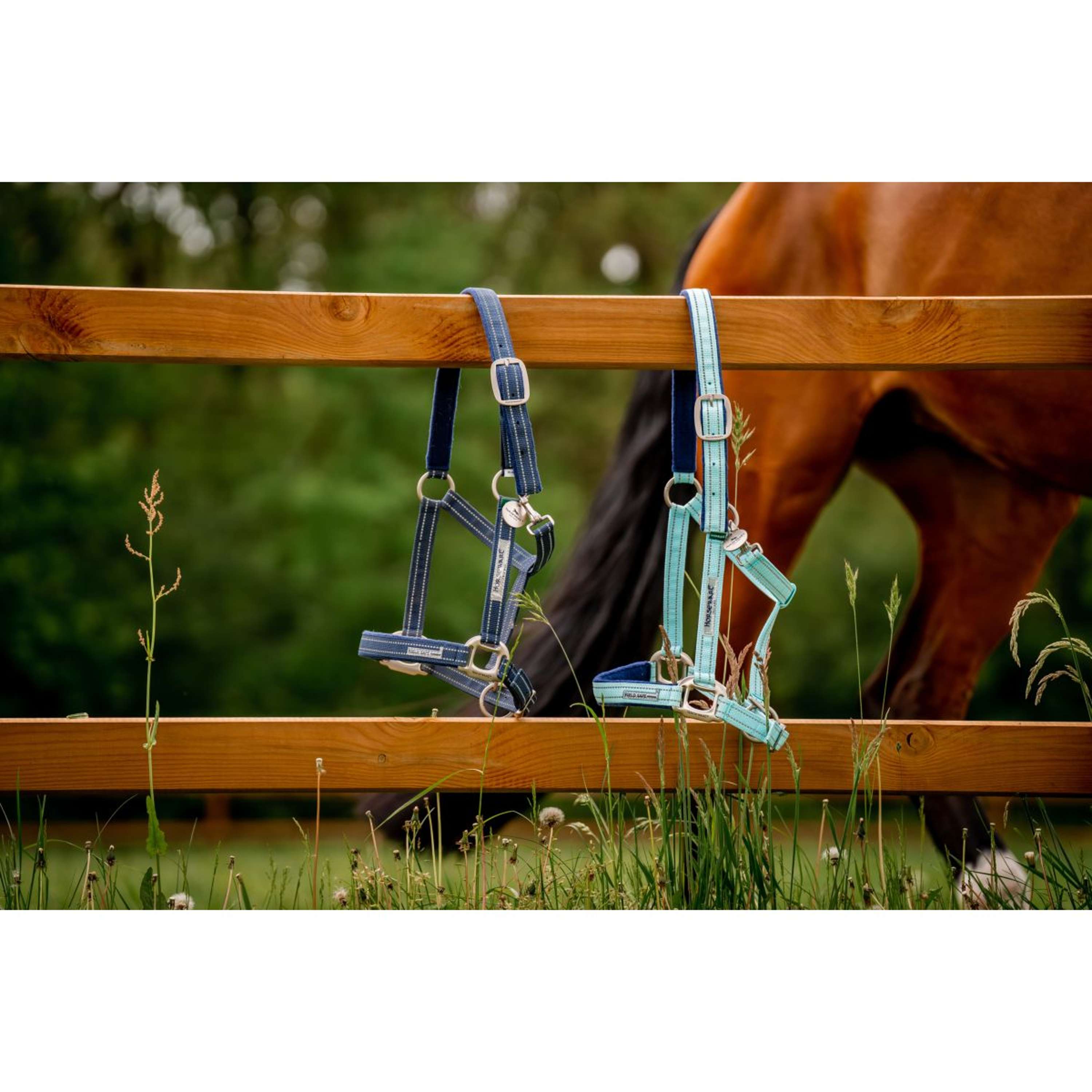 Horseware Halster Field Safe Navy