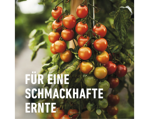 COMPO BIO 2,5 L vloeibare meststof voor fruit en groenten
