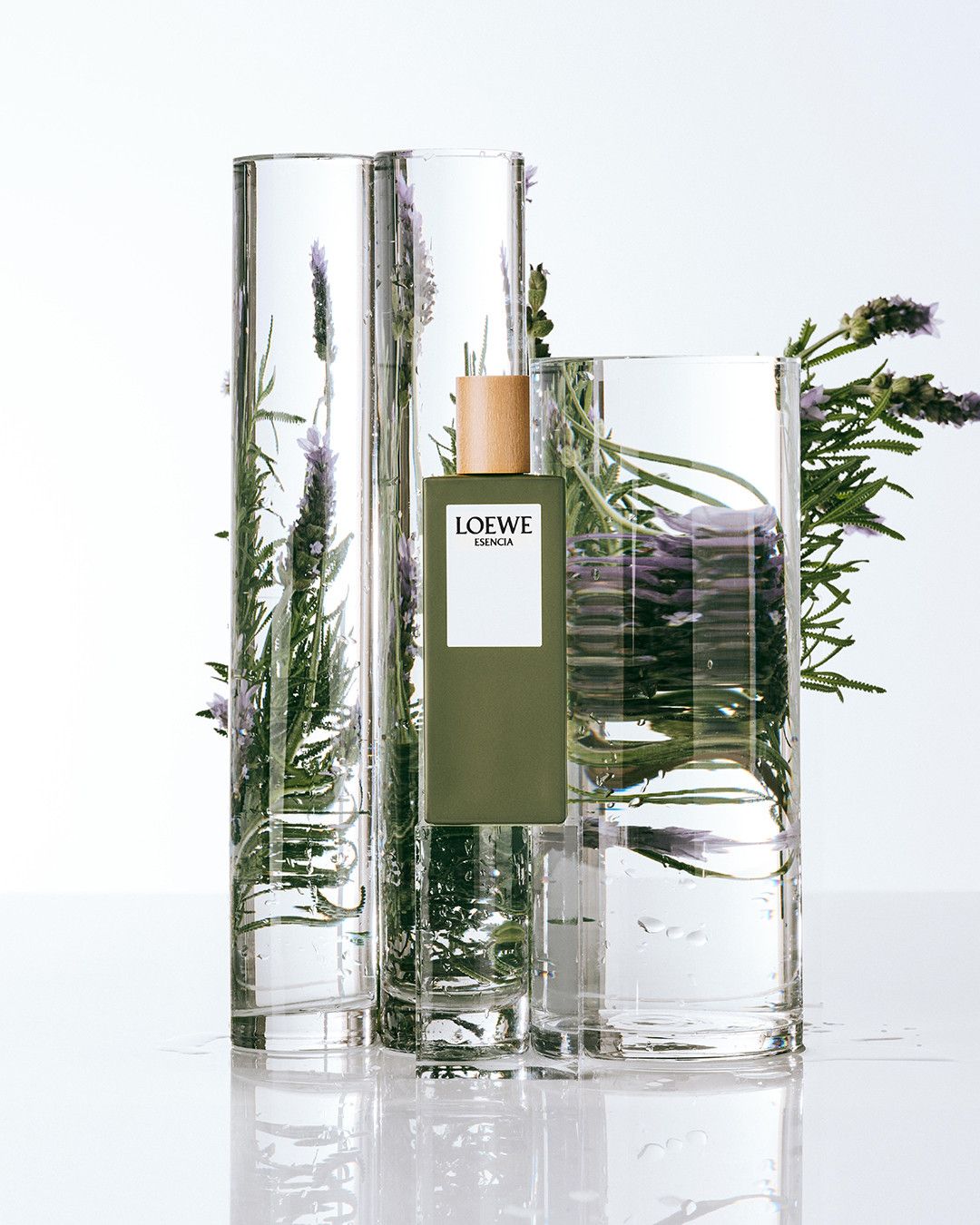Esencia Pour Homme Estuche Cofres de perfumes para hombre