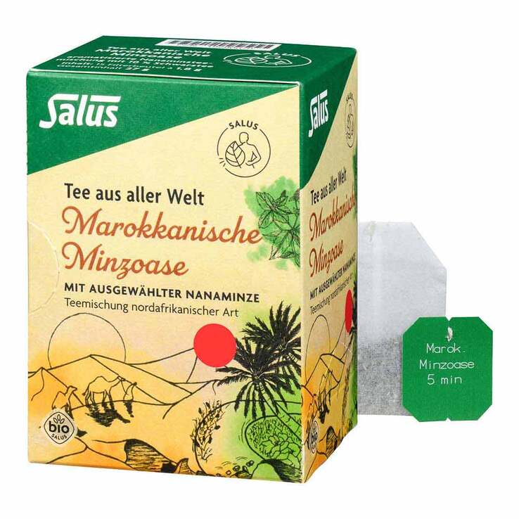 Marokkanische Minzoase Bio Salus Filterbeutel, 15 St