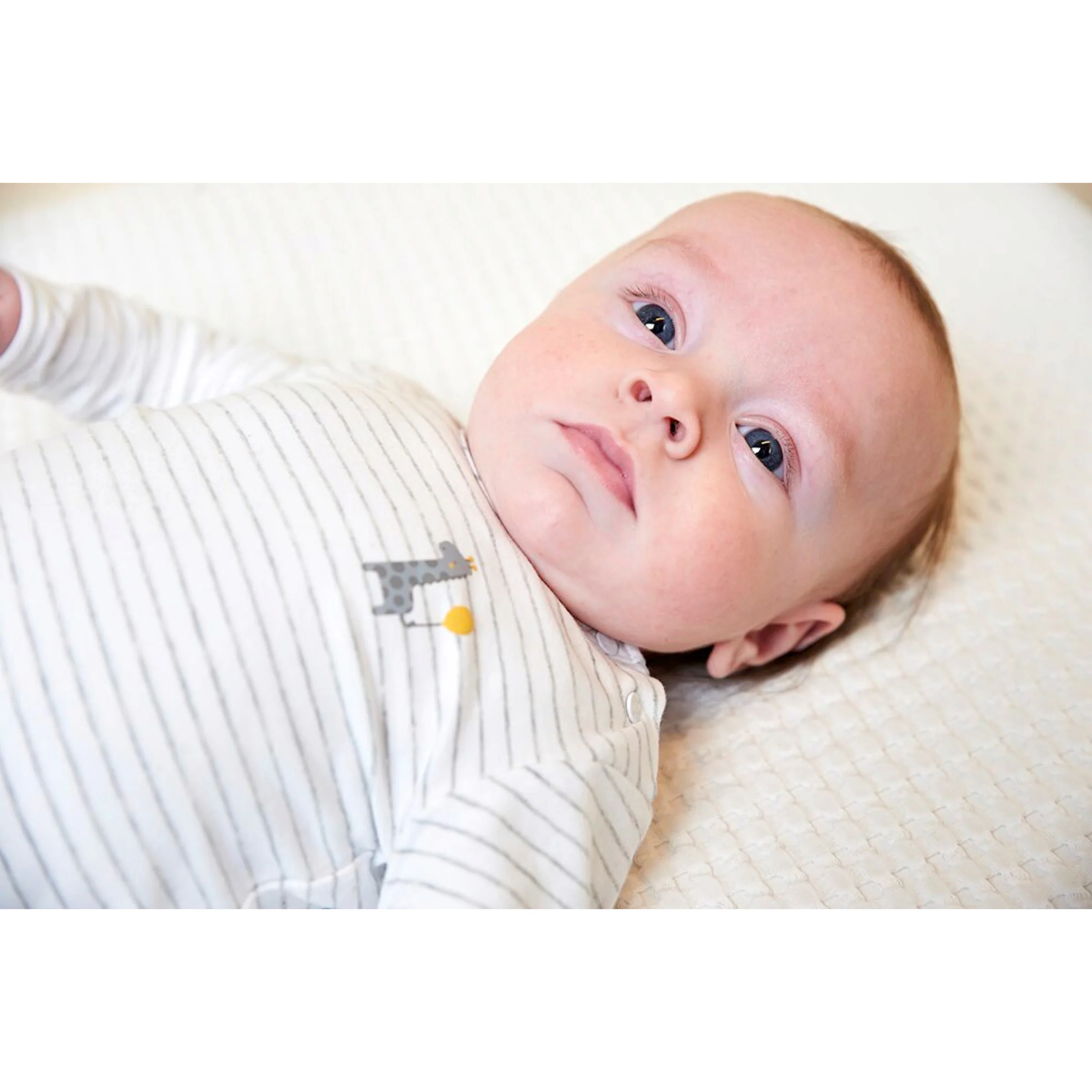Feetje Shirt langarm Ringel Giraffe