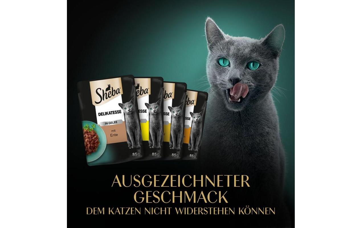 Nassfutter Delikatesse Gelee Geflügel Variation, 12 x 85gAlleinfuttermittel für ausgewachsene Katzen