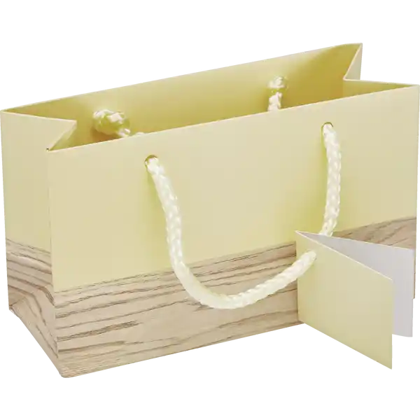 WE Mini-Geschenktüte FS 2024