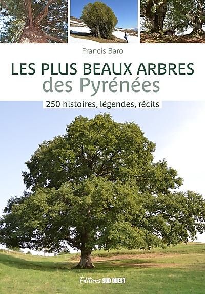 SUD OUEST - LES PLUS BEAUX ARBRES DES PYRENEES