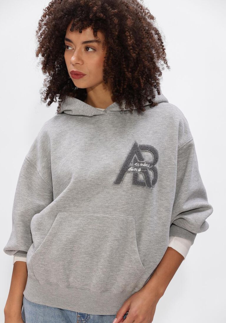 grijze anine bing truien/vesten jaci hoodie letterman