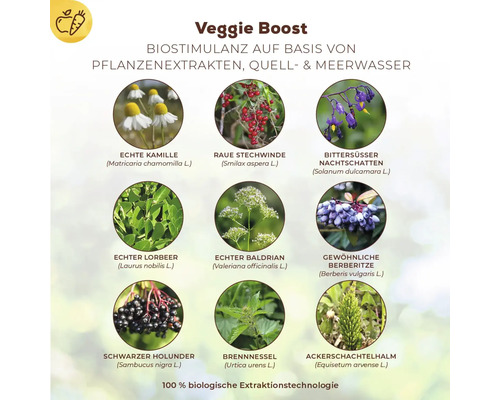 Plantenversterker Solabiol Veggie Boost 250 ml verbetert de weerstand tegen droogtestress, geschikt voor biologische landbouw