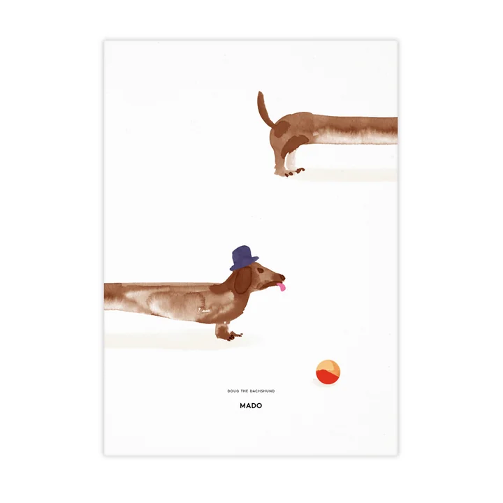 Paper Collective - Doug the Dachshund, 40 x 30 cm