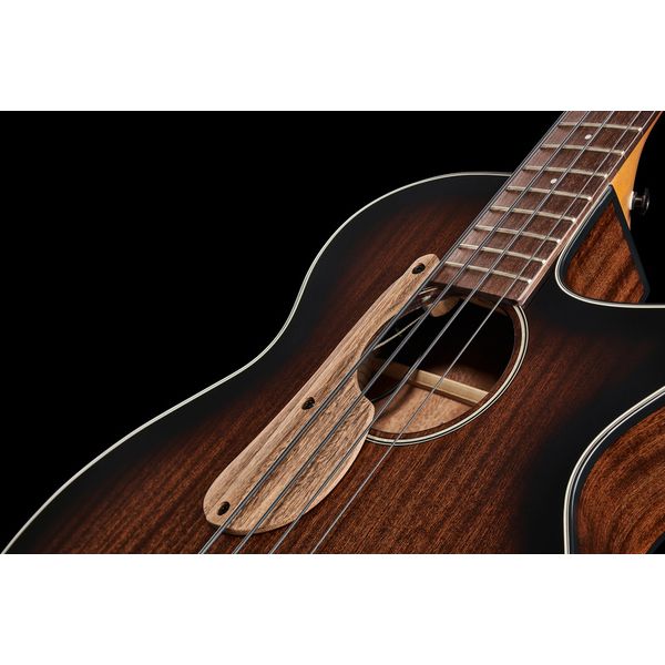 Ibanez AEGB24E-MHS