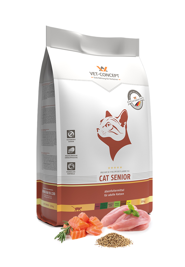 Cat Senior