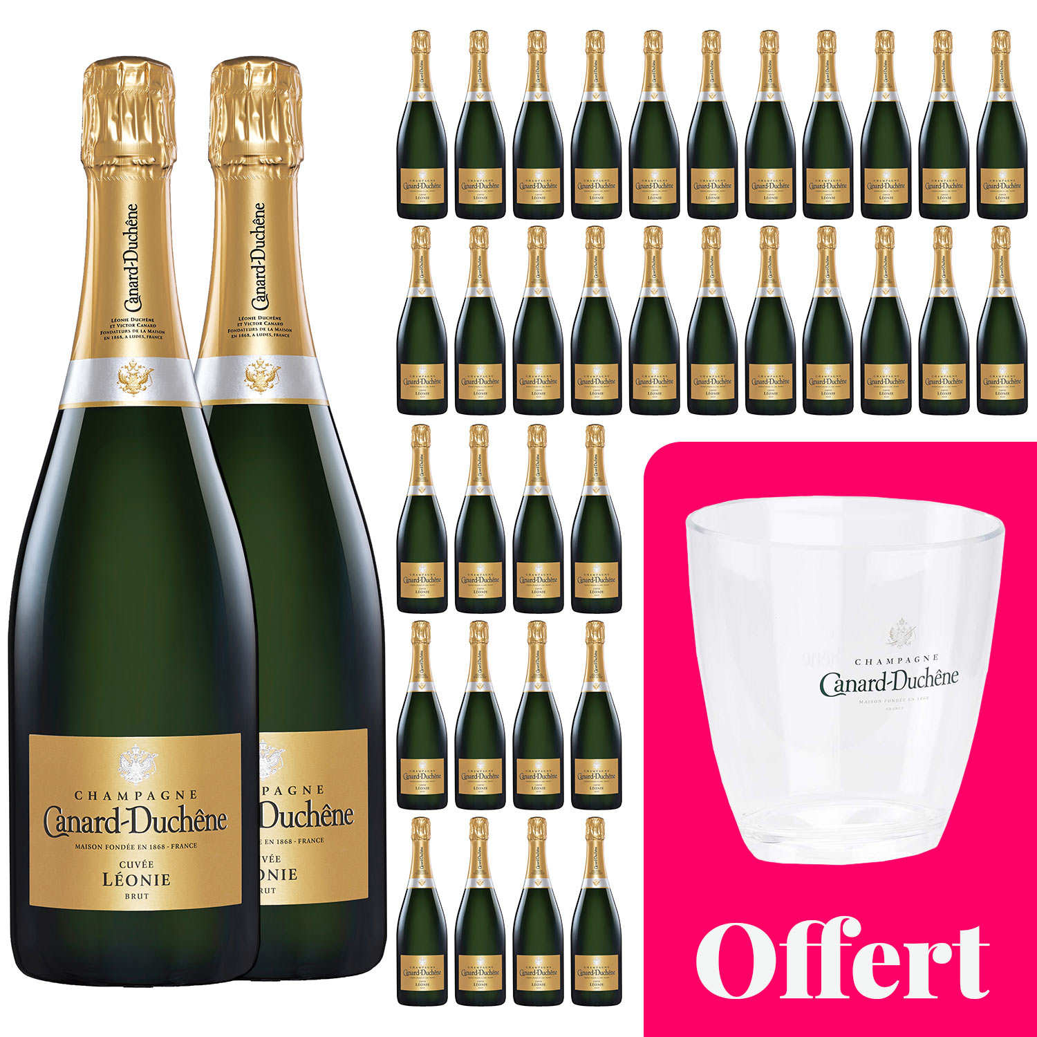 36 bouteilles Champagne Canard Duchêne Cuvée Léonie Brut et 1 seau offert
