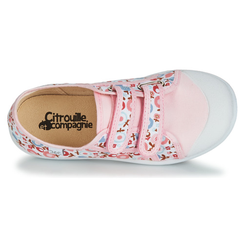 Citrouille et Compagnie - GLASSIA - Rose / Rouge