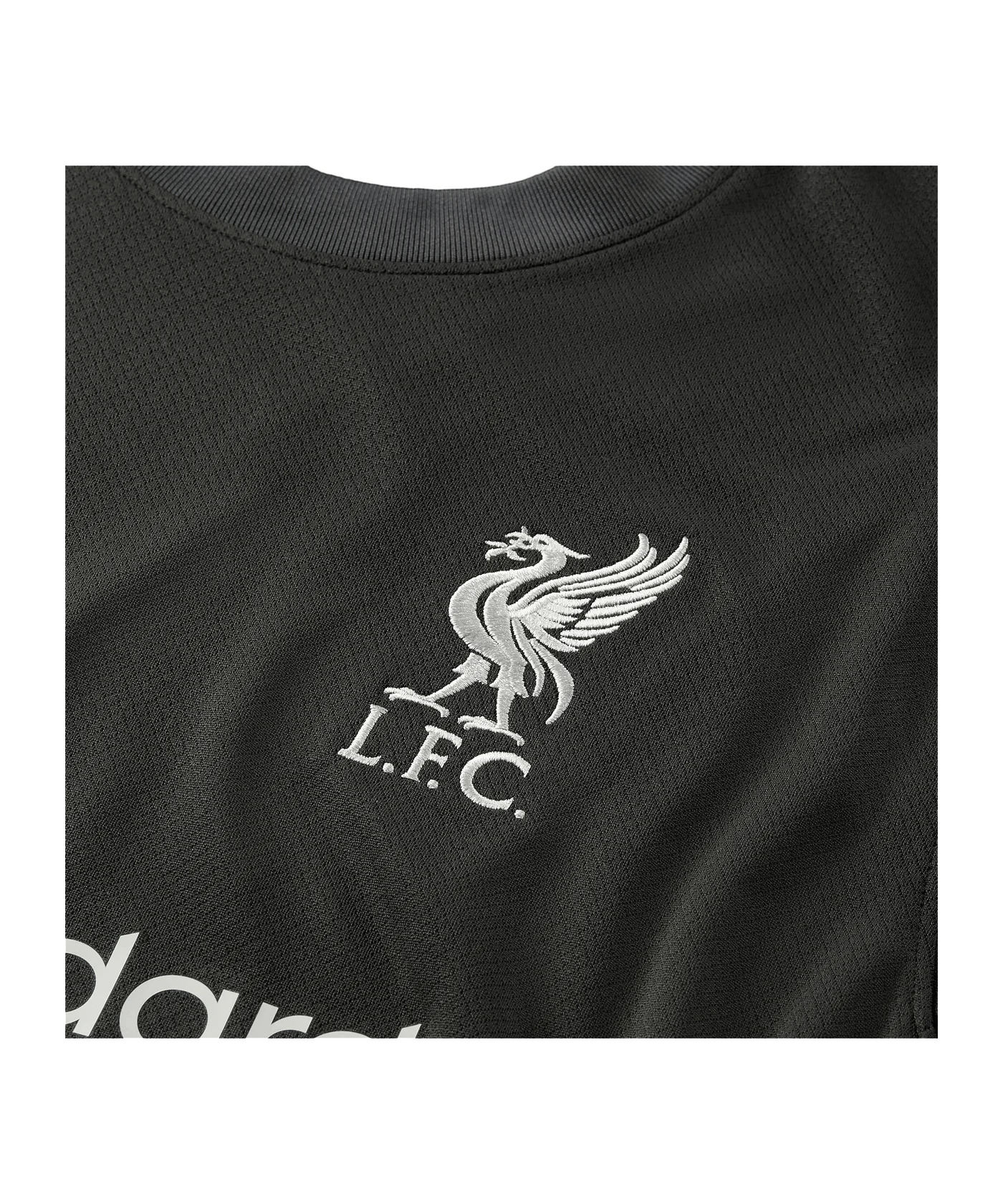 Nike FC Liverpool Trikot Away 2024/2025 Grau F322