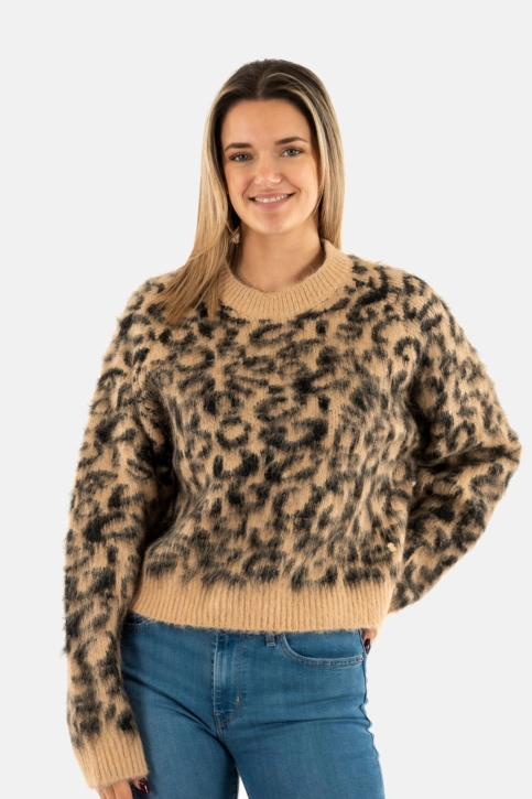 Pull hiver la petite etoile may 13-beige/noir