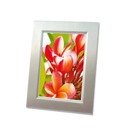 Avery Zweckform C2550-50 Premium Inkjet Fotopapier, 10x15, einseitig beschichtet, 250 g/m², 50 Blatt