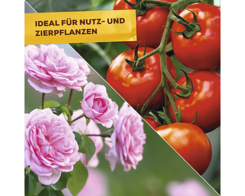 Urtica Solabiol Plantenversterker 1 L Gebruiksklare pompspray voor maximaal 15 m²