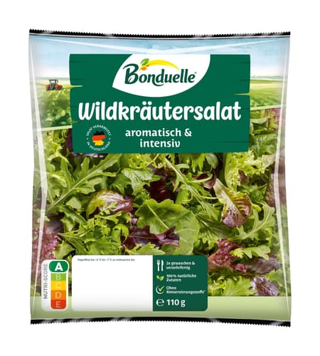 Wildkräuter Salat