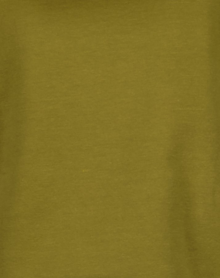 Kapuzen-Sweatshirt MILANO CREW in retro green