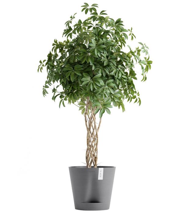 Ecopots Kunststoff-Topf Venice 2, rund