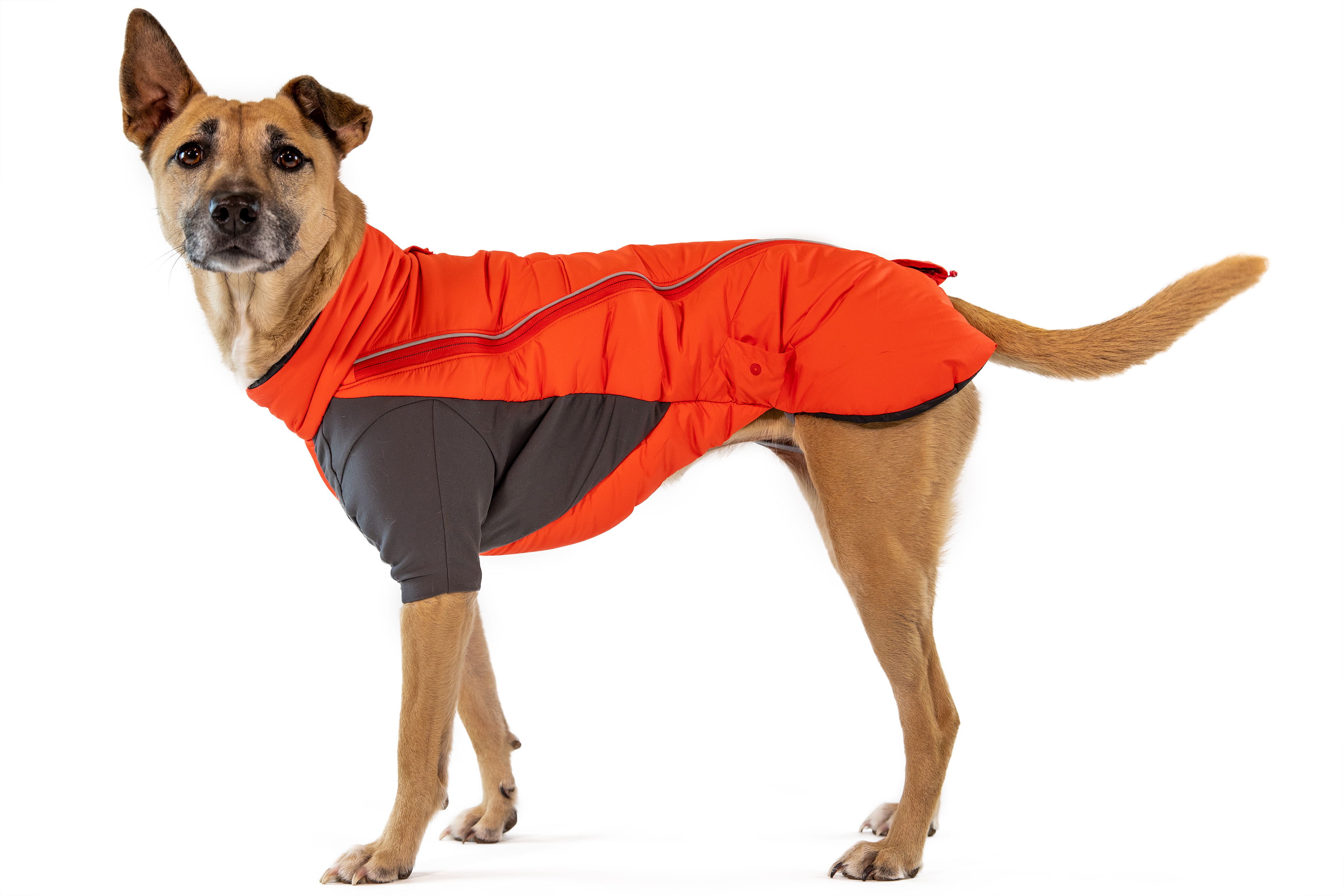 Veste résistant aux intempéries et ultra-chaude furness™ avec isolation. Couleur: red sumac (rouge), taille: s