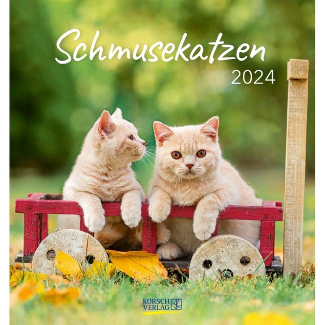 Postkartenkalender - Schmusekatzen - 2024