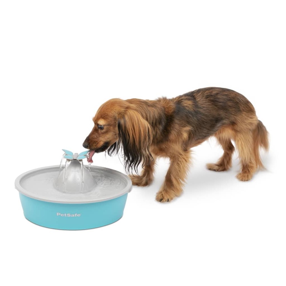 Fontaine pour animaux de compagnie drinkwell papillon 1,5 l