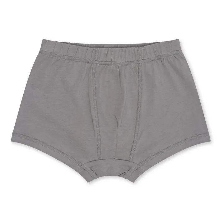 Konges Sløjd Lot 2 Caleçons Coton Bio Eléphants | Gris