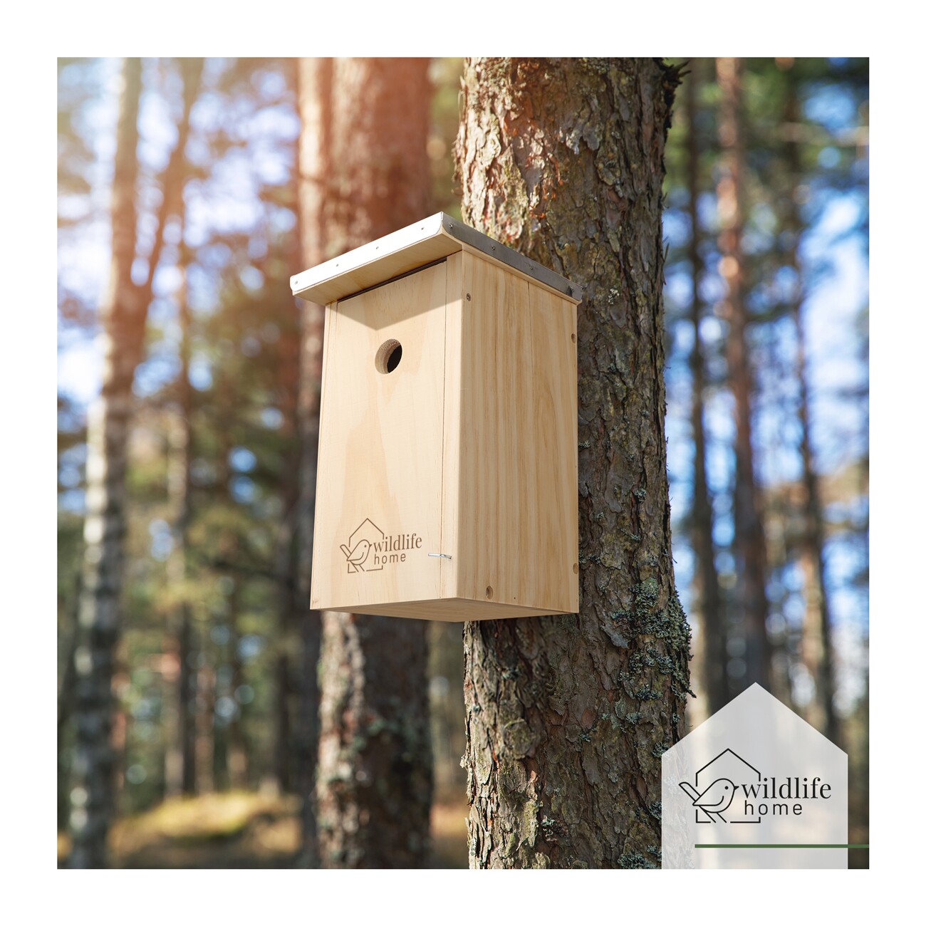 WILDLIFE HOME Nistkasten für Kohlmeisen & Co. 2er Set