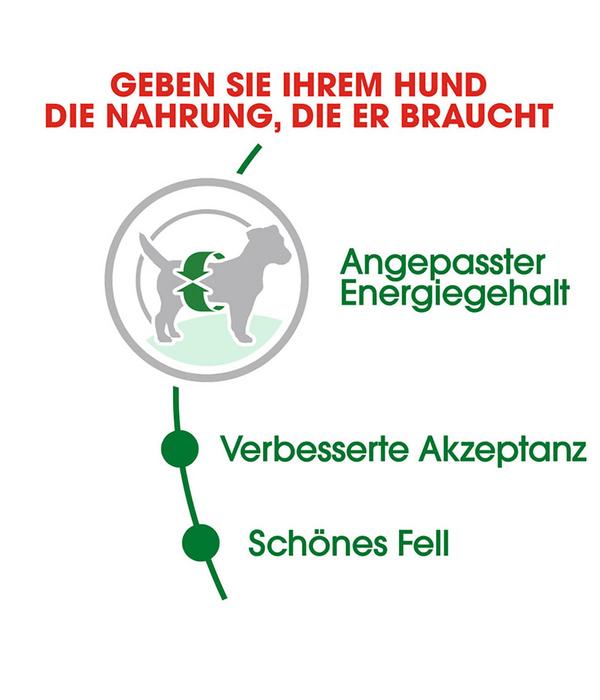 ROYAL CANIN® Trockenfutter für Hunde Mini