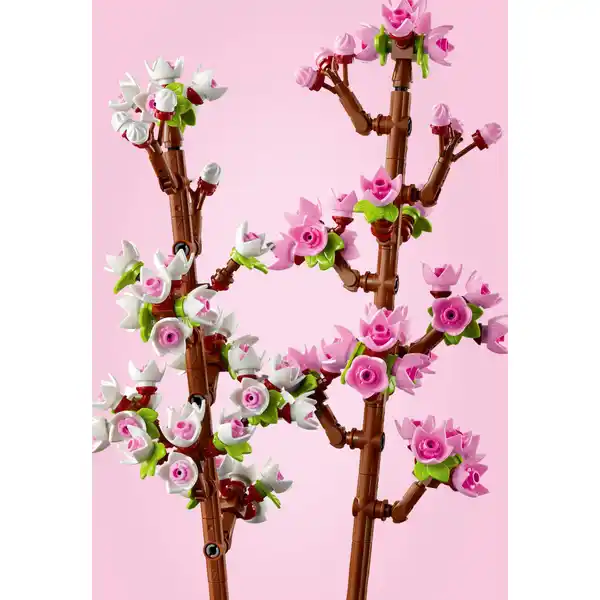 40725 Kirschblüten