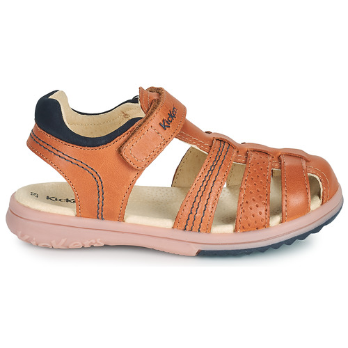 Kickers - PLATINIUM - Camel
