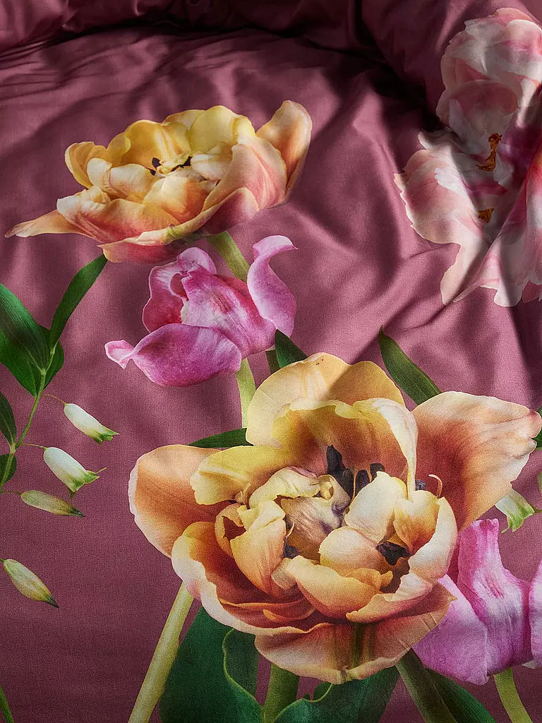 ESSENZA Satin-Bettwäsche ELOISE 70x90cm/140x200cm Mauve  beere
