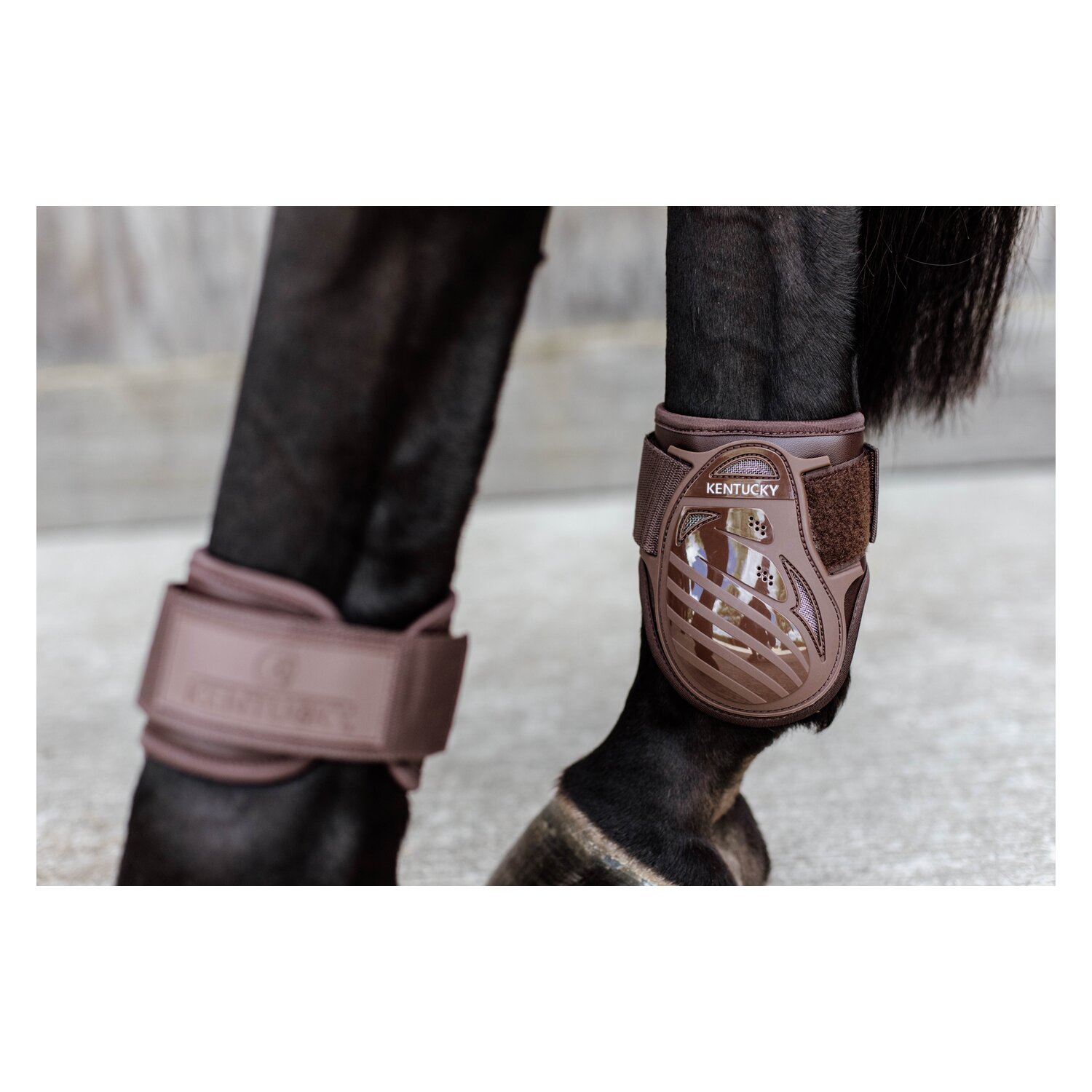 KENTUCKY Fesselkopfgamaschen Young Horse - brown